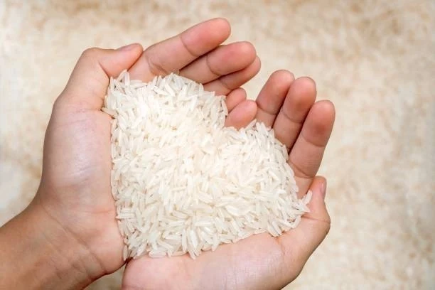 Rice & Grains